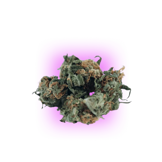 Cannabis Samen Automatik Mix Pack 5 Stück