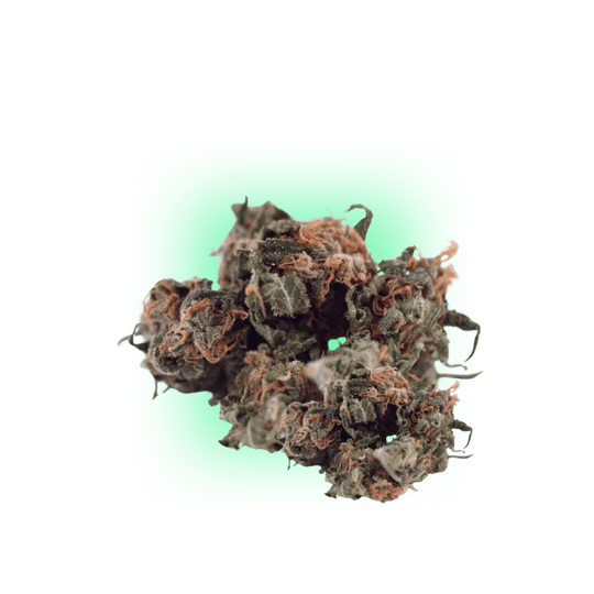 Cannabis Samen Automatik Mix Pack 5 Stück