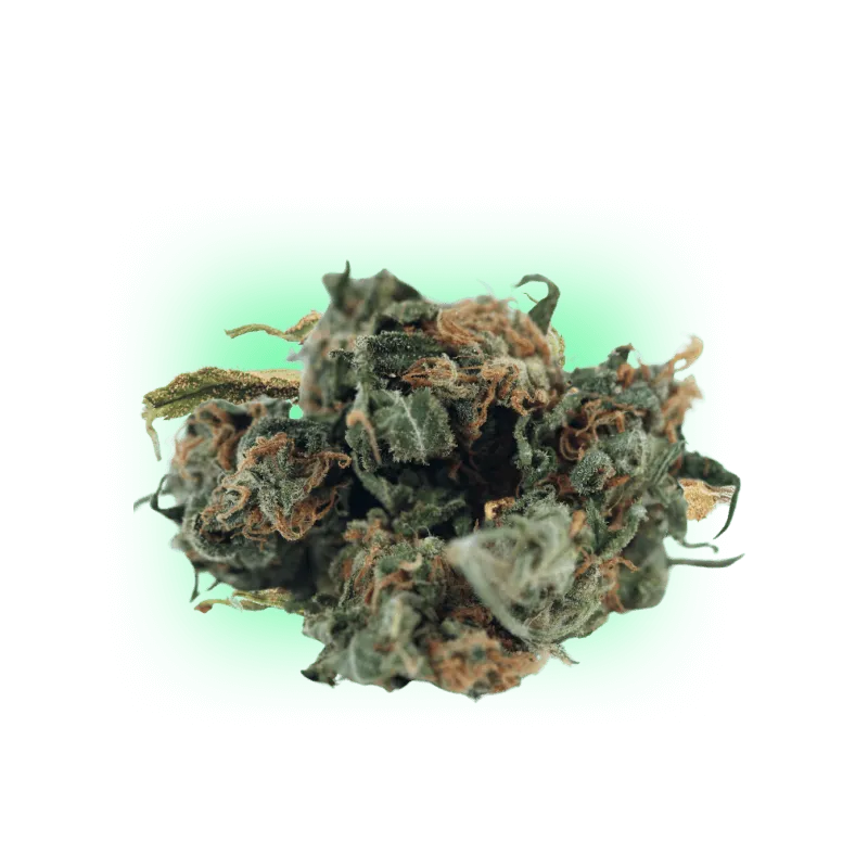 Cannabiszaden Mango Smile 3 stuks