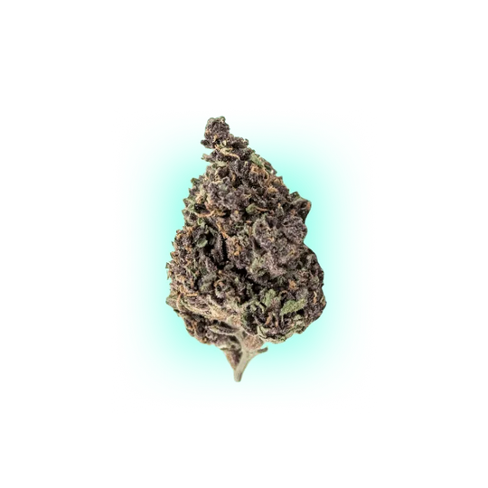 Cannabis Samen Automatik Mix Pack 5 Stück