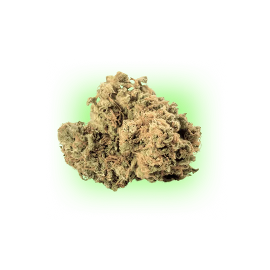Cannabis Samen Automatik Mix Pack 5 Stück