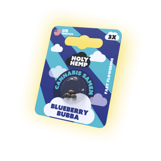 Seeds Blueberry Bubba | 3 Samen US Genetics