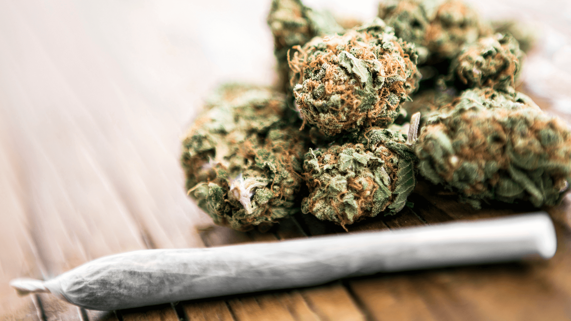 THC-JD Bloemen kopen