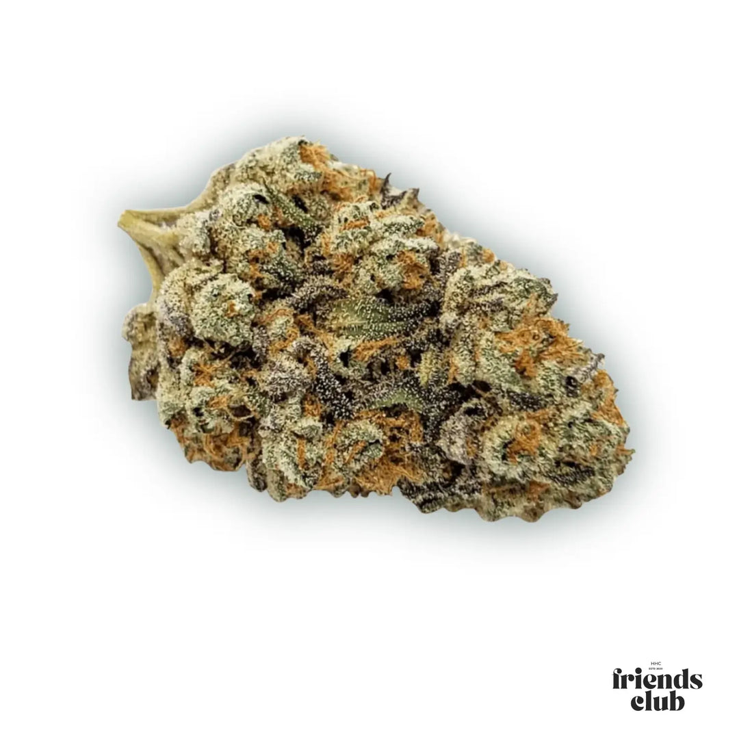 PHC Blüten Lemon Cookies - hhcfriends