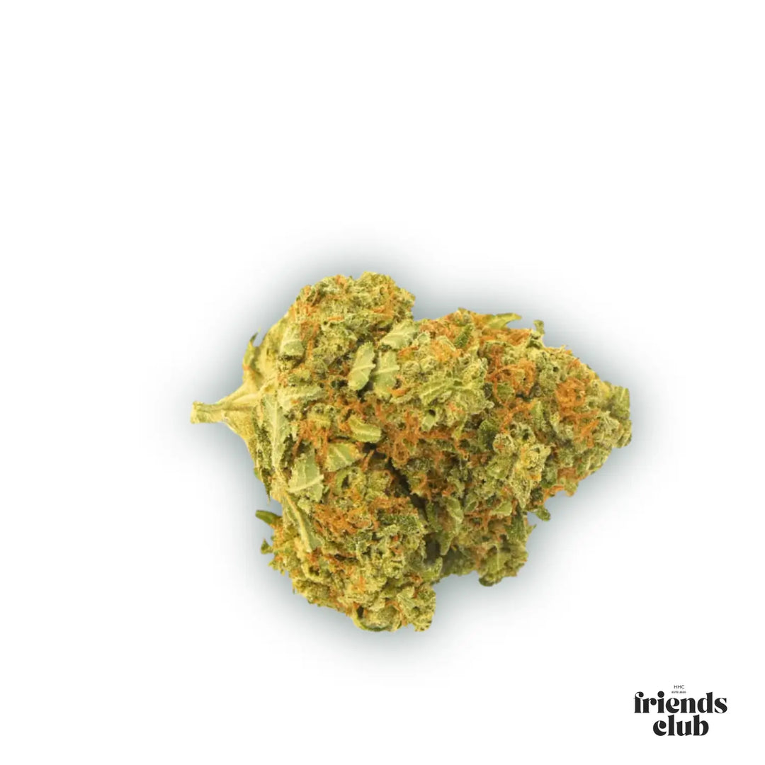 CBD Blüten Gorilla Glue 1g - hhcfriends