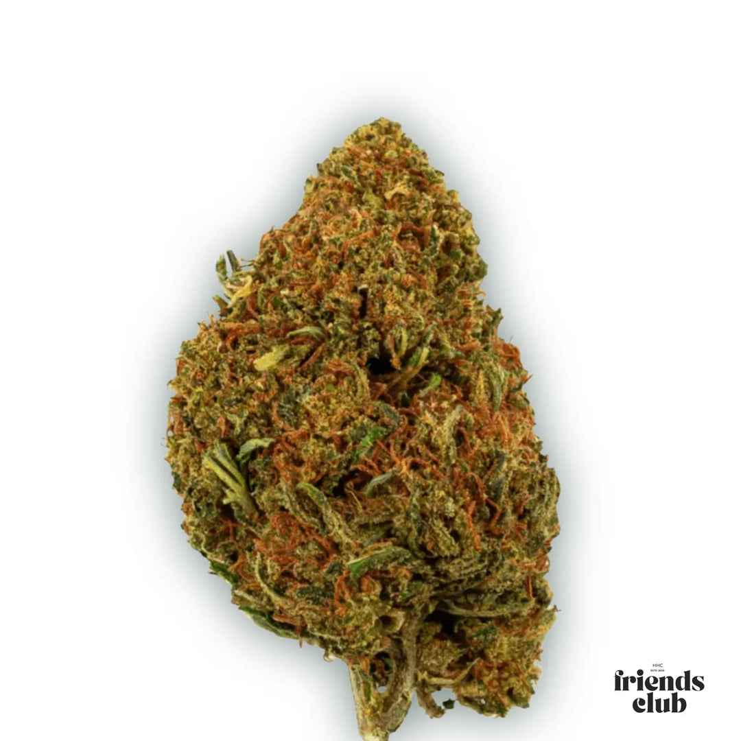 PHCP Fleur Cherry Pie - hhcfriends