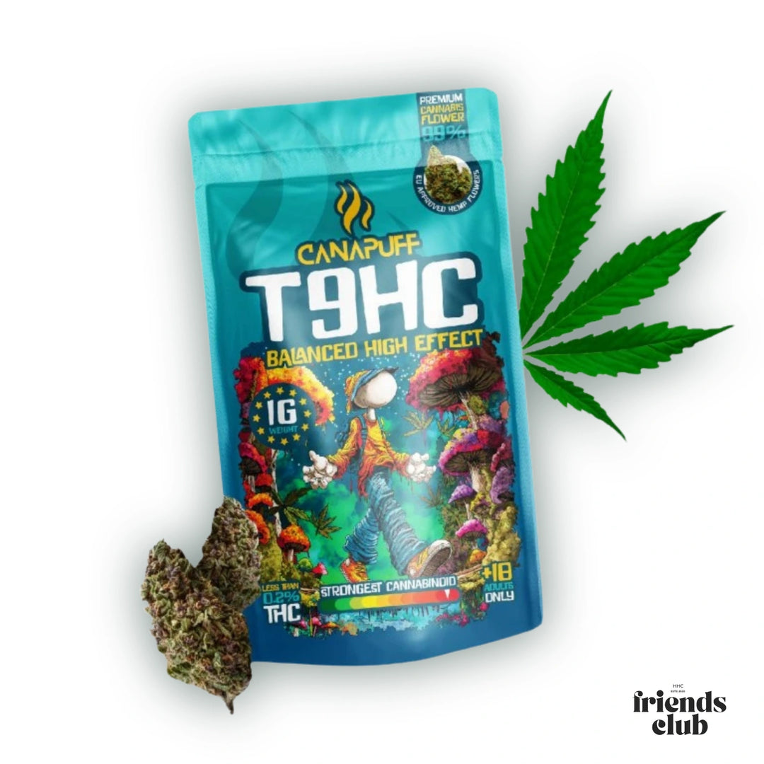 T9HC Blüten Balanced 99% - hhcfriends