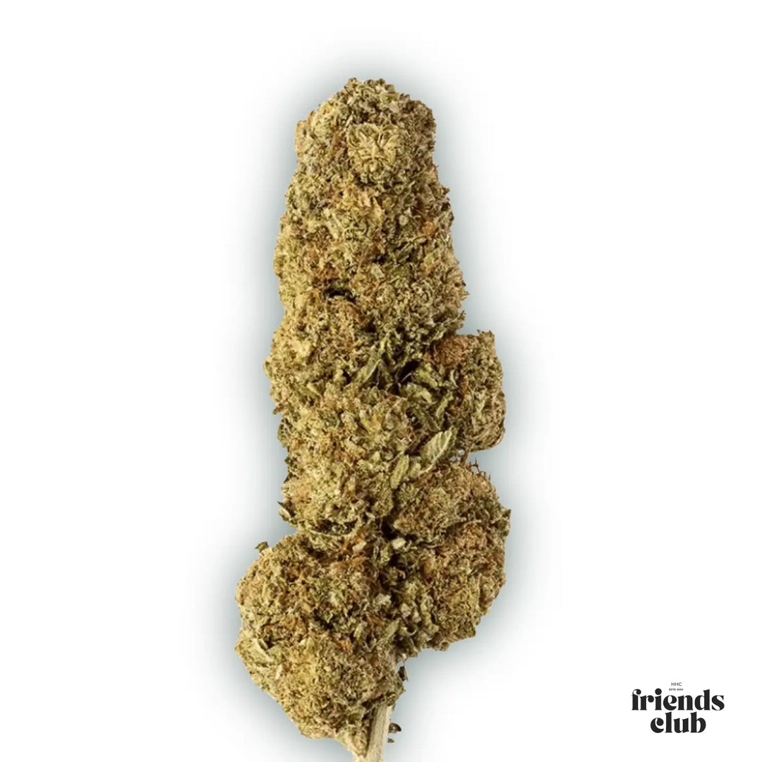 PHCP Fleur Strawberry - hhcfriends