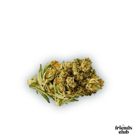 PHC Fleurs Plutonium 25% - hhcfriends