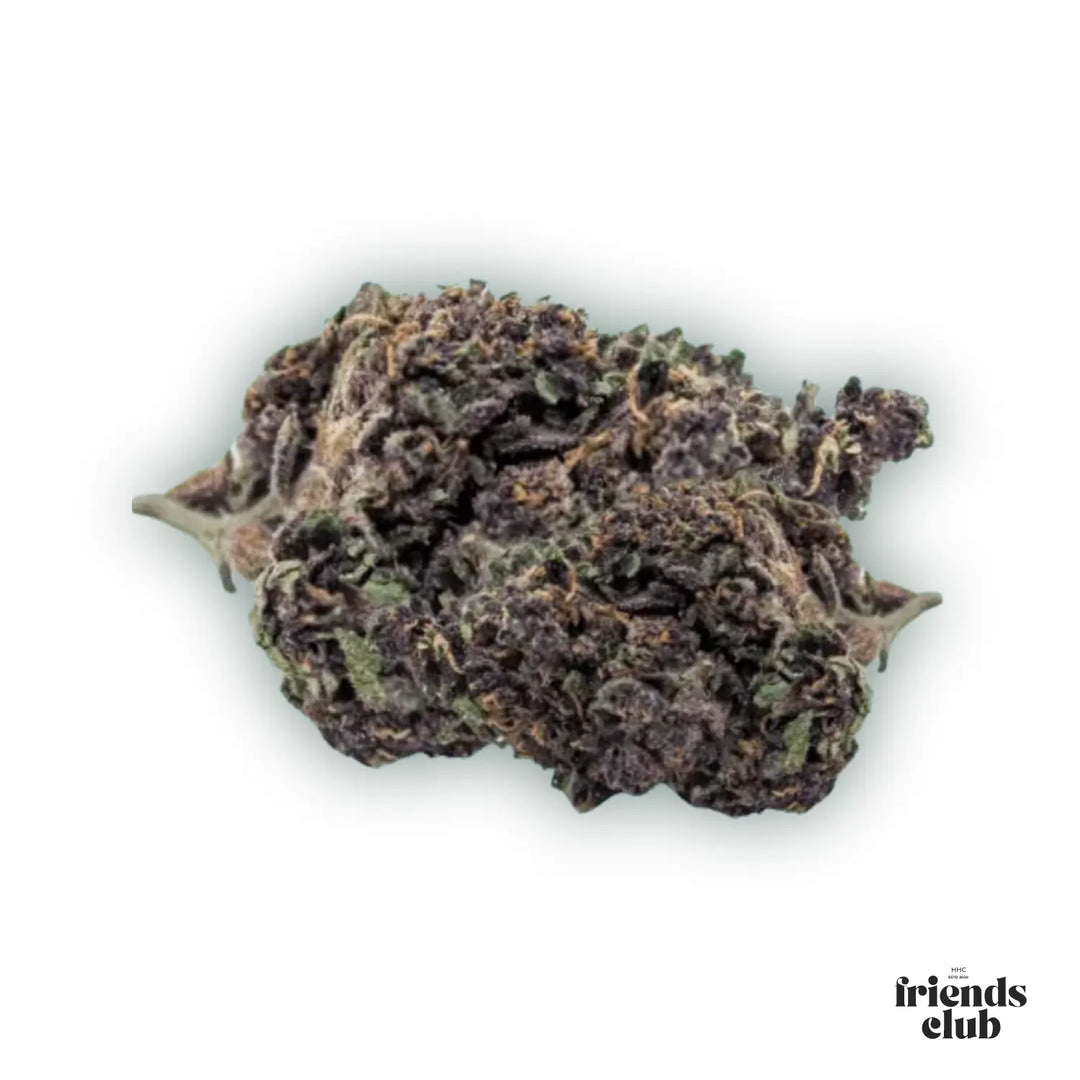 PHC Blüten Purple Haze 25% - hhcfriends