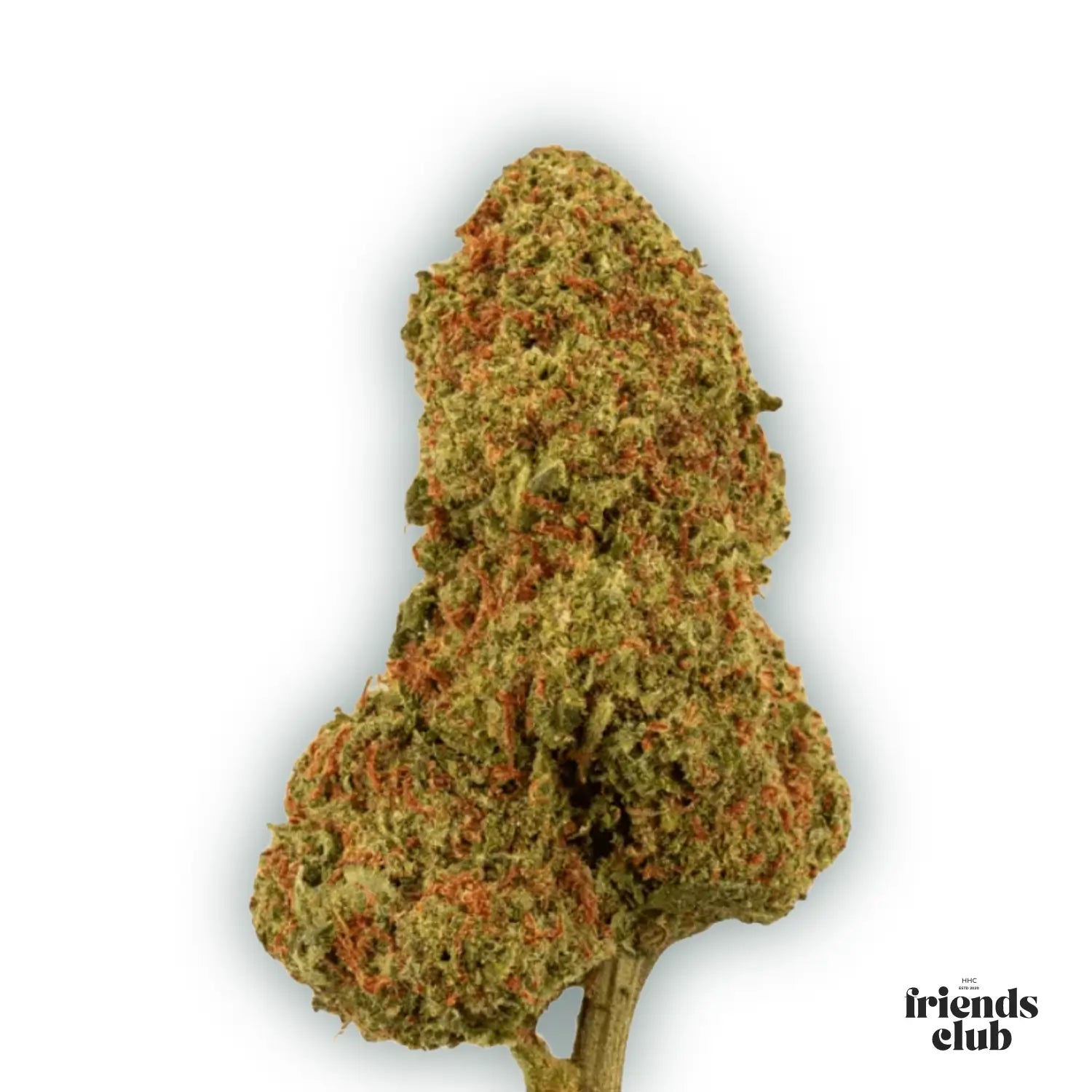 PHCP Bloem Candy Kush - hhcfriends