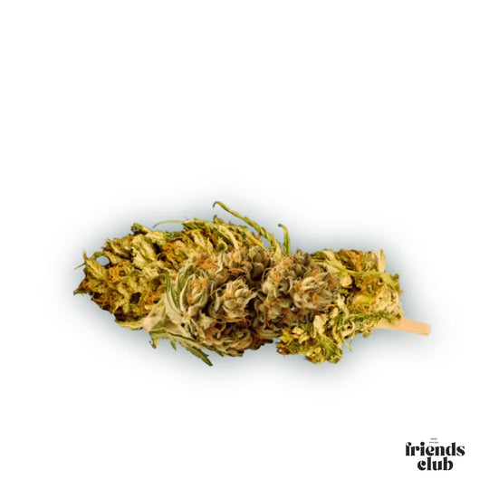 PHC Fleurs V1 25% - hhcfriends