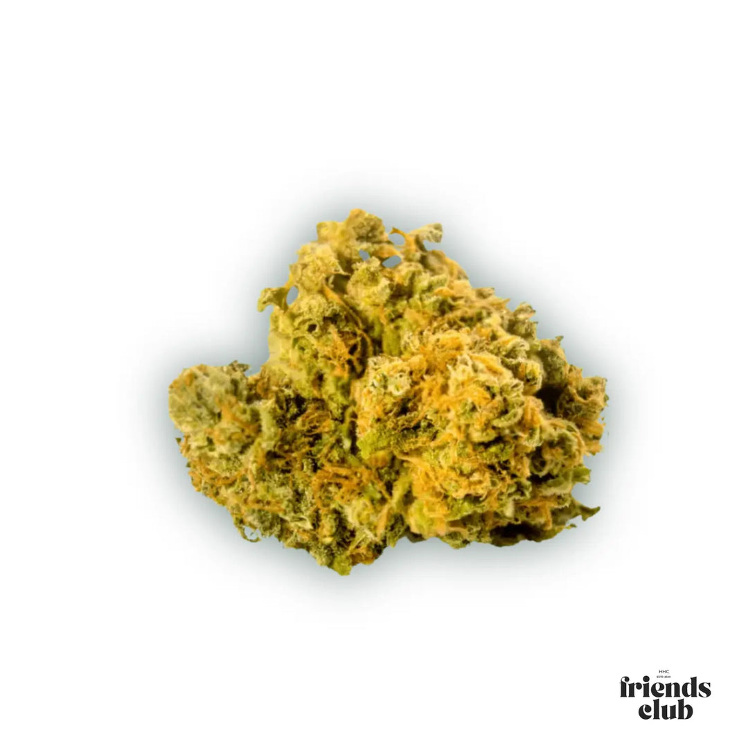 PHC Blüten Mango 25% - hhcfriends