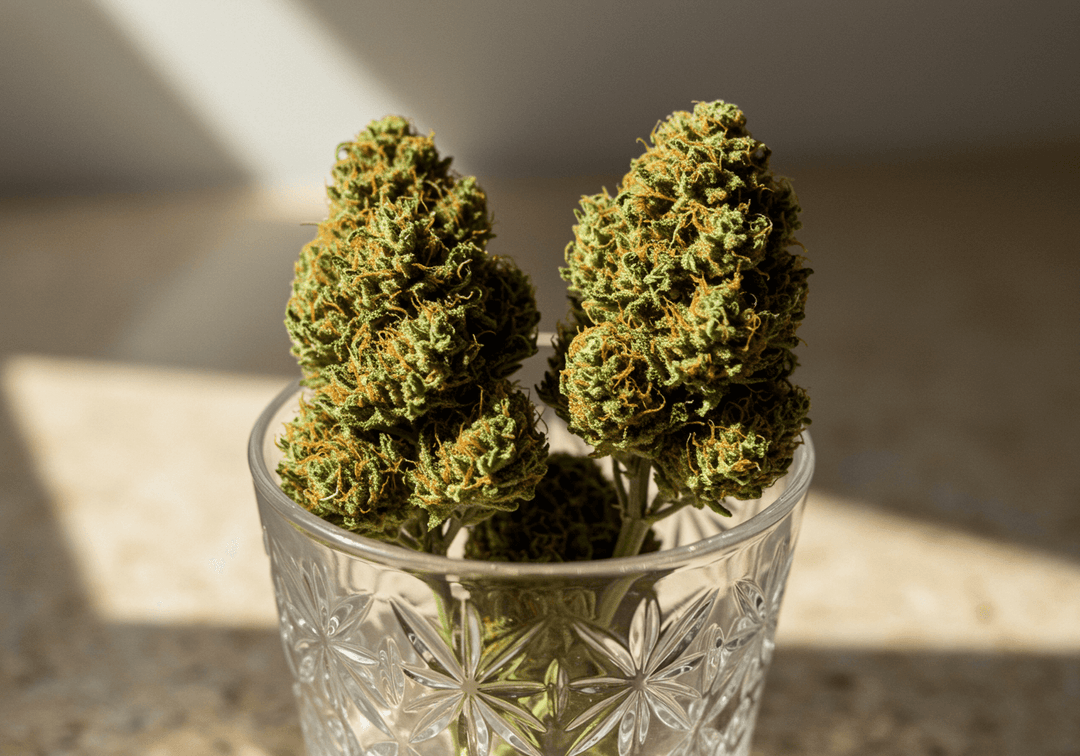 Bubblegum Strain virágok egy üvegben