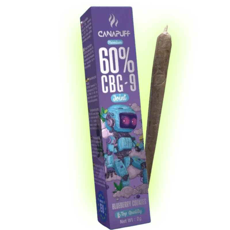 CBG9 Joint Blueberry Cookies 60% 2g