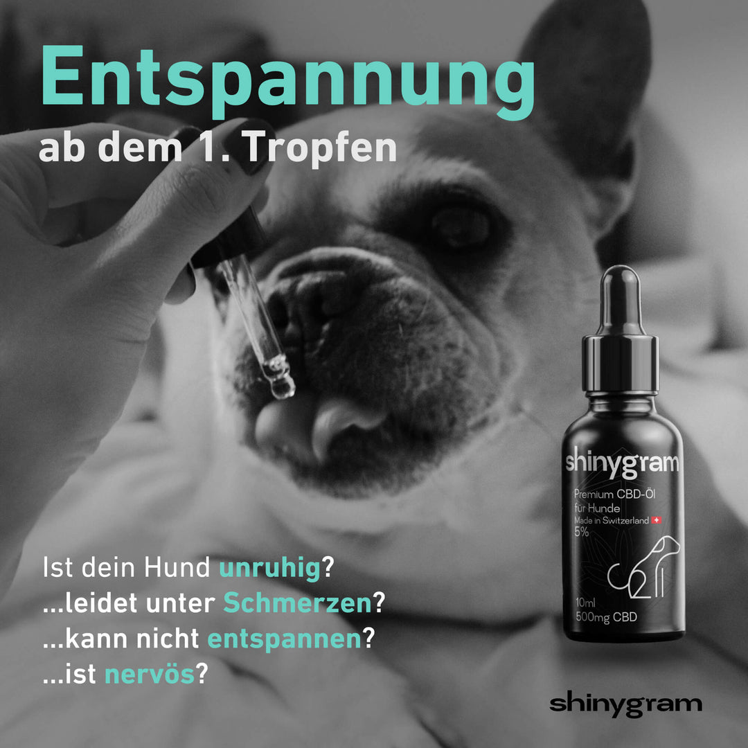 CBD Öl für Hunde 5%
