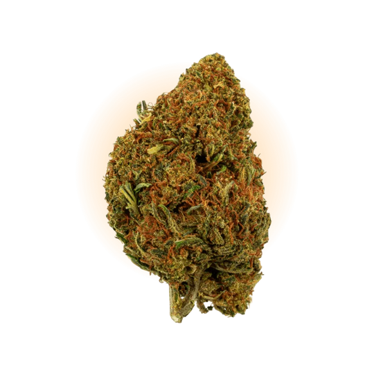 PHCP Bloem Cherry Pie-Smagro GmbH