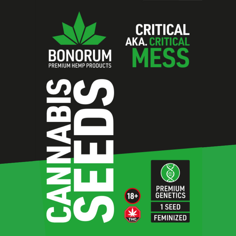 Critical aka Critical Mess Samen THC 🌱