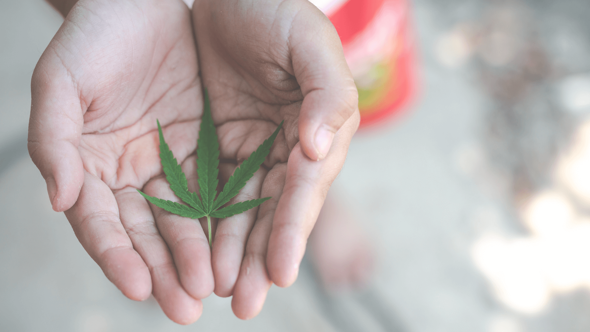 HHC Withdrawal Cannabis