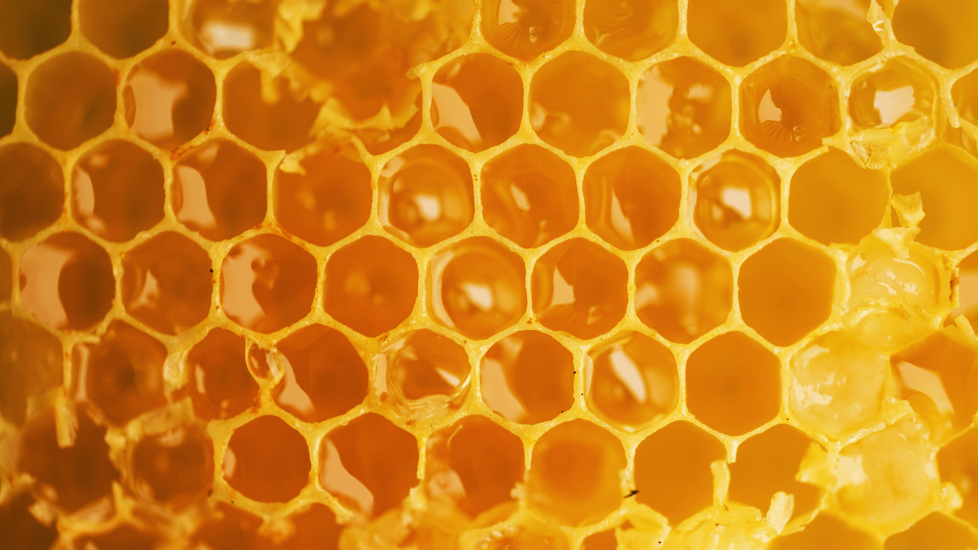 Mad Honey uit Nepal