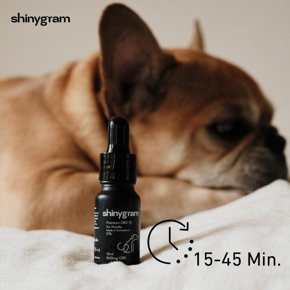 CBD Öl für Hunde 5%